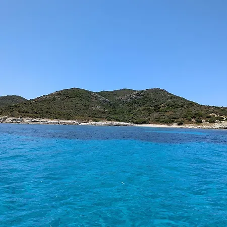 Alta Suarella